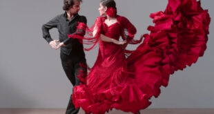 Flamenco