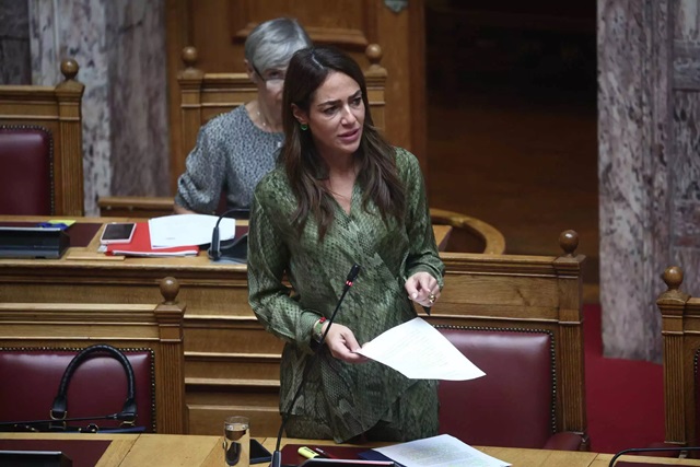 domna-mixailidou-vouli