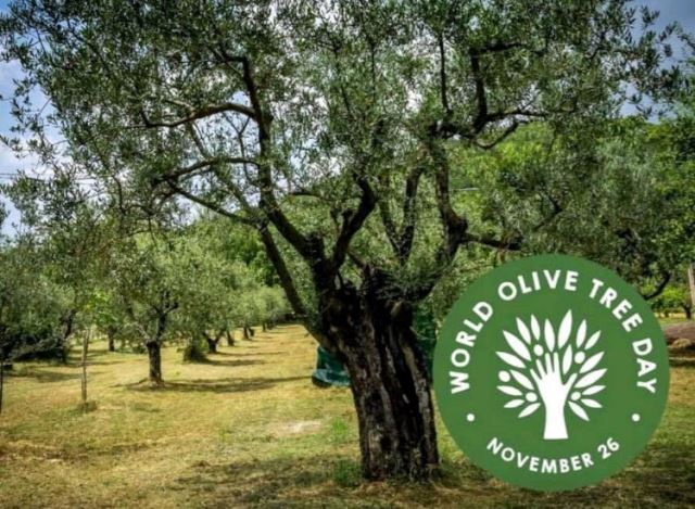 World_Olive_Tree_Day