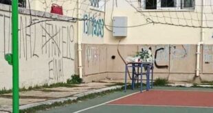 louloudia-sxoleio-17xronos-ioannina