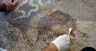 amvrakia-psifodoto-arta