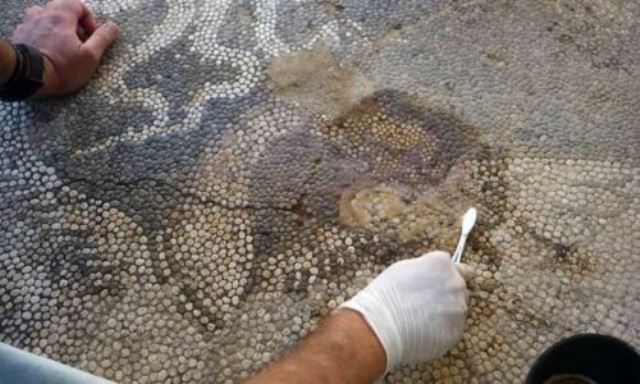 amvrakia-psifodoto-arta