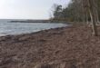 fikia-paralia-preveza