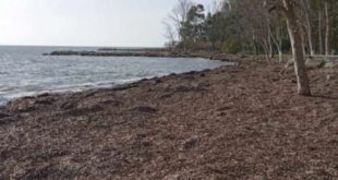 fikia-paralia-preveza