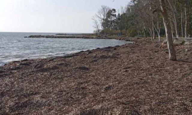 fikia-paralia-preveza