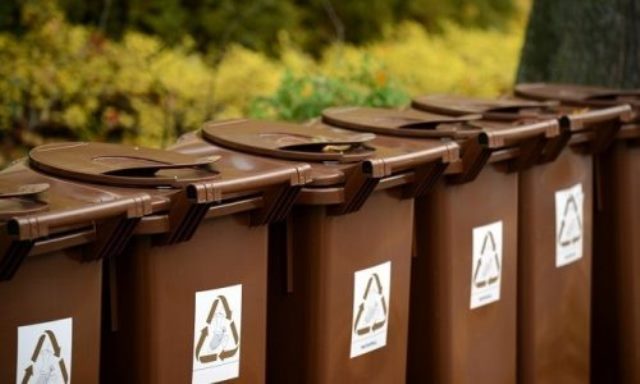 kafe-kadoi-kompostopoiisi