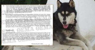 oliver_porisma_arachova