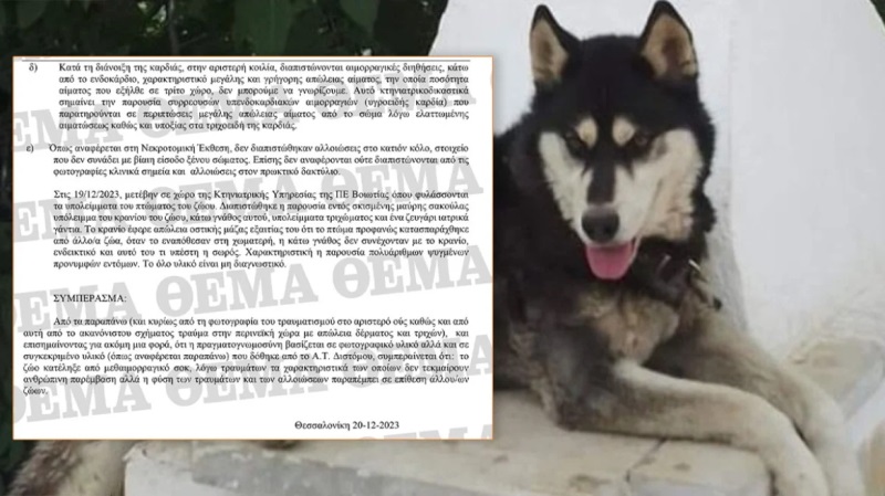 oliver_porisma_arachova