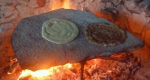 spargana-ethima-ipeiros