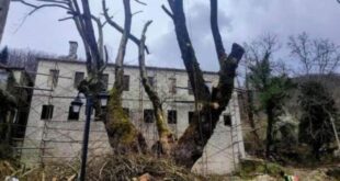 dilofo-sxoleio-anagnostopouleio