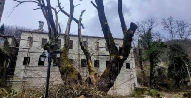 dilofo-sxoleio-anagnostopouleio