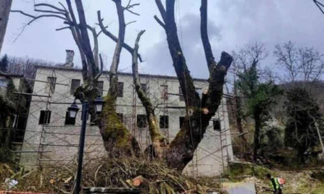 dilofo-sxoleio-anagnostopouleio