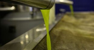 elaiolado_elaiotrivio_ladi