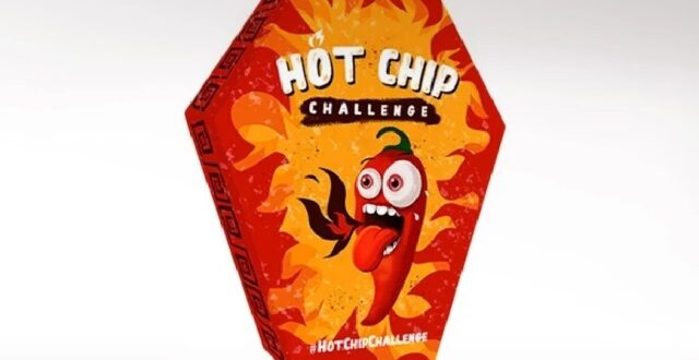 hot_chip-patatakia-efet