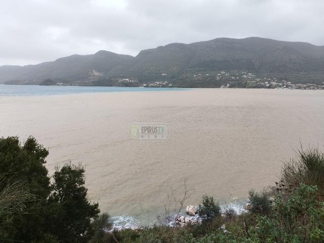 plataria-thalassa-kafe