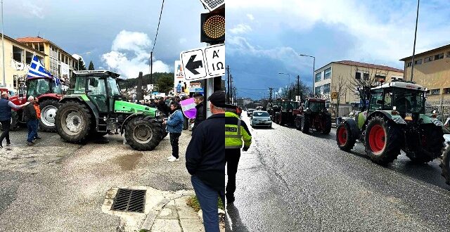 agrotes-eforia-ioannina