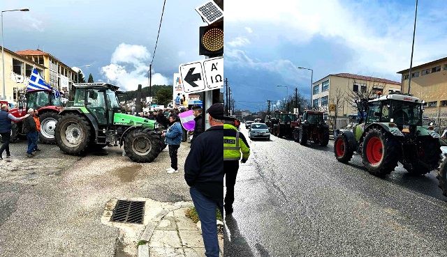 agrotes-eforia-ioannina