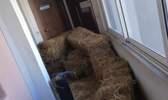 demata-trifilli-giogiakas