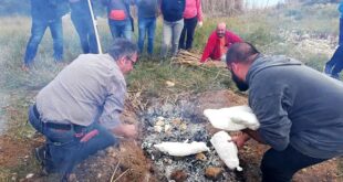 fagito-limni-zaravina-ioannina