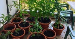 glastres-mpalkoni-xasis