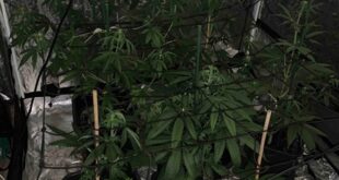 ioannina-narkotika-spiti