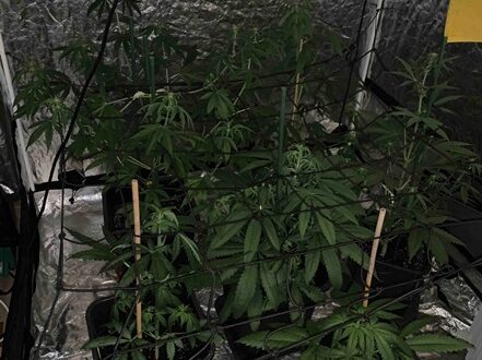 ioannina-narkotika-spiti