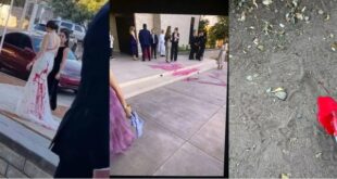 mexiko-petherika-nyfi-kokkini-bogia