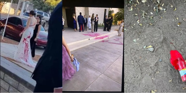 mexiko-petherika-nyfi-kokkini-bogia