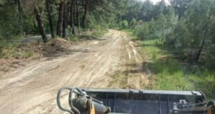 piroprostasia-dasos-prostasia