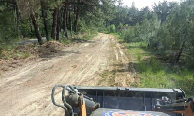 piroprostasia-dasos-prostasia