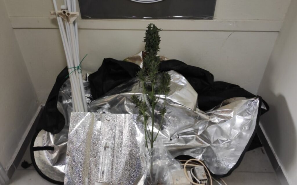 thesprotia-narkotika