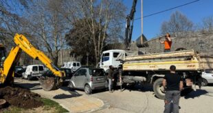 dentra-dimos-ioanniton