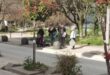 ioannina-anilikos-lipothimos