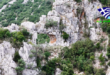 drakotripa-ai-giorgi