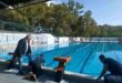 kolimvitirio-preveza