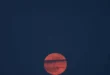 pink-moon-roz-panselinos