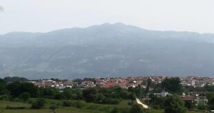 afrikaniki-skoni-ioannina