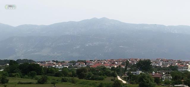 afrikaniki-skoni-ioannina