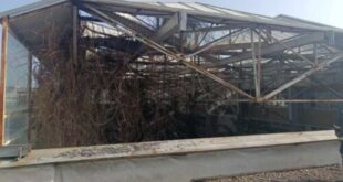 panepistimio-fotia-aithrio