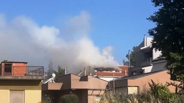 fotia-ioannina-sofita-18-6