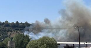 fotia-gefira-kalogiroy2