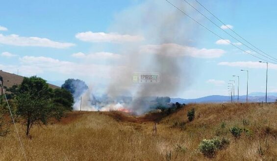 fotia-periferiaki-ioannina6-7