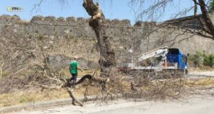 platania-molos-ioannina