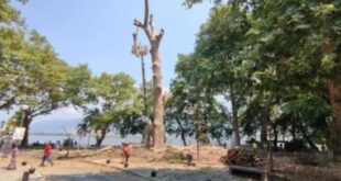 platanos-paralimnio-ioannina