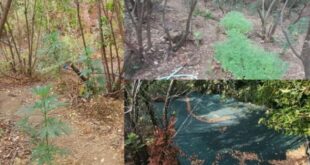 xasisofyteia_thesprwtia