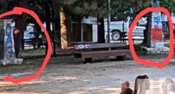 bandalismoi_alsos_ioannina