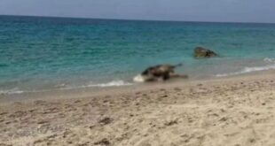 leukada-paralia-agelades