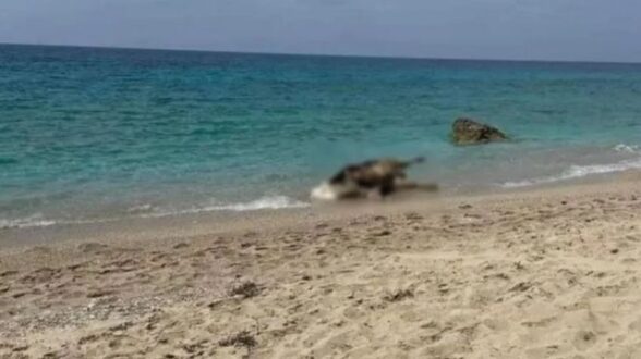 leukada-paralia-agelades