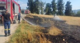 melandra-fotia-ioannina