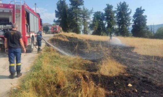 melandra-fotia-ioannina